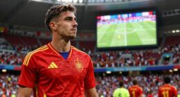 Did Spain Win The World Cup