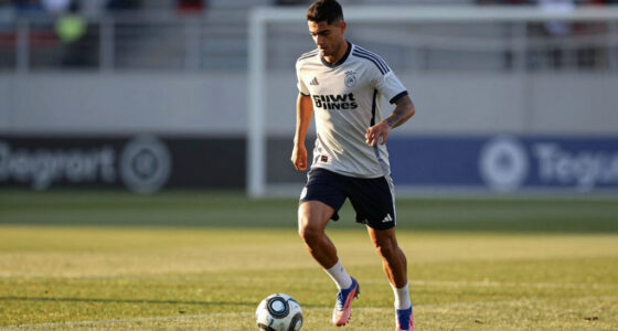 Raul Jimenez