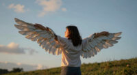 Sky Vs Wings