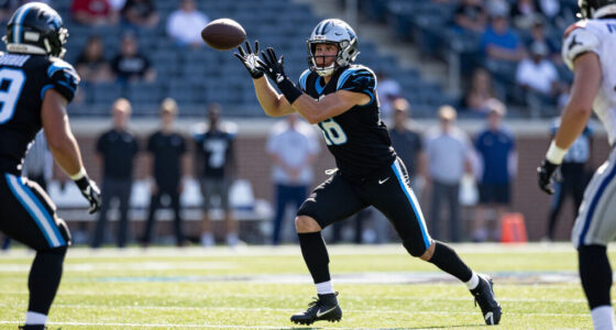 Panthers Vs Cardinals