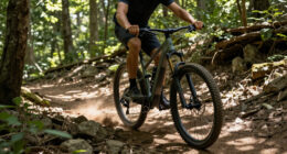 15 Best Electric Mountain Bike in 2026