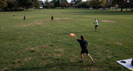 15 Best Frisbees for Backyard Games, Ultimate, and Night Play in 2026