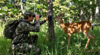 8 Surprising Ways That Whitetail Deer Communicate With Their Tails