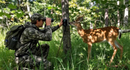 8 Surprising Ways That Whitetail Deer Communicate With Their Tails
