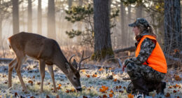 Here’s Why A Deer’s Sense Of Smell Is So Much Better Than Yours