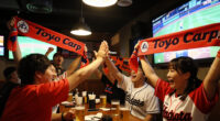 Hiroshima Toyo Carp Wins