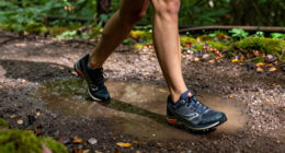 12 Best Saucony GORE-TEX Shoes for Wet-Weather Running in 2027