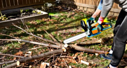 15 Best Mini Electric Chainsaws for Pruning and Yard Cleanup in 2027
