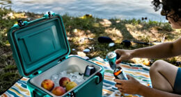 15 Best Outdoor Coolers for Camping, Tailgates, and Backyard Gatherings in 2027