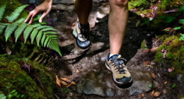 4 Best Nike Hiking Sneakers in 2027
