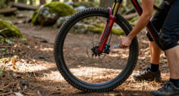 5 Best 30.5 Inch Mountain Bike Wheels in 2027