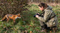 Here’s How One Of The World’s Greatest Animal Behaviorists Mastered The Art Of Stalking Game