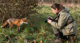 Here’s How One Of The World’s Greatest Animal Behaviorists Mastered The Art Of Stalking Game