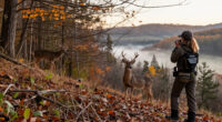 Here’s What All Hunters Should Know About The Rut, Weather, And Deer Movement, According To One Of The Top Experts In The Country