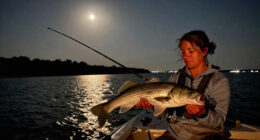 I Caught The World-Record Striped Bass During The Eclipse Of A Full Moon