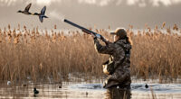 I Gave Up My Duck Blind To Hunt Where The Mallards Actually Are