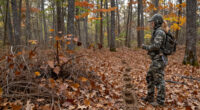 Should You Hunt A Buck’s Bedding Area, Or Is It Too Risky?
