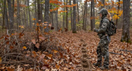 Should You Hunt A Buck’s Bedding Area, Or Is It Too Risky?