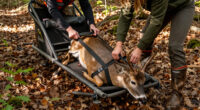 Stop Dragging Your Deer. Use One Of These Instead