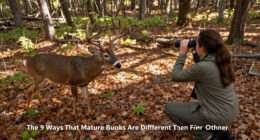 The 9 Ways That Mature Bucks Are Different Than Other Deer